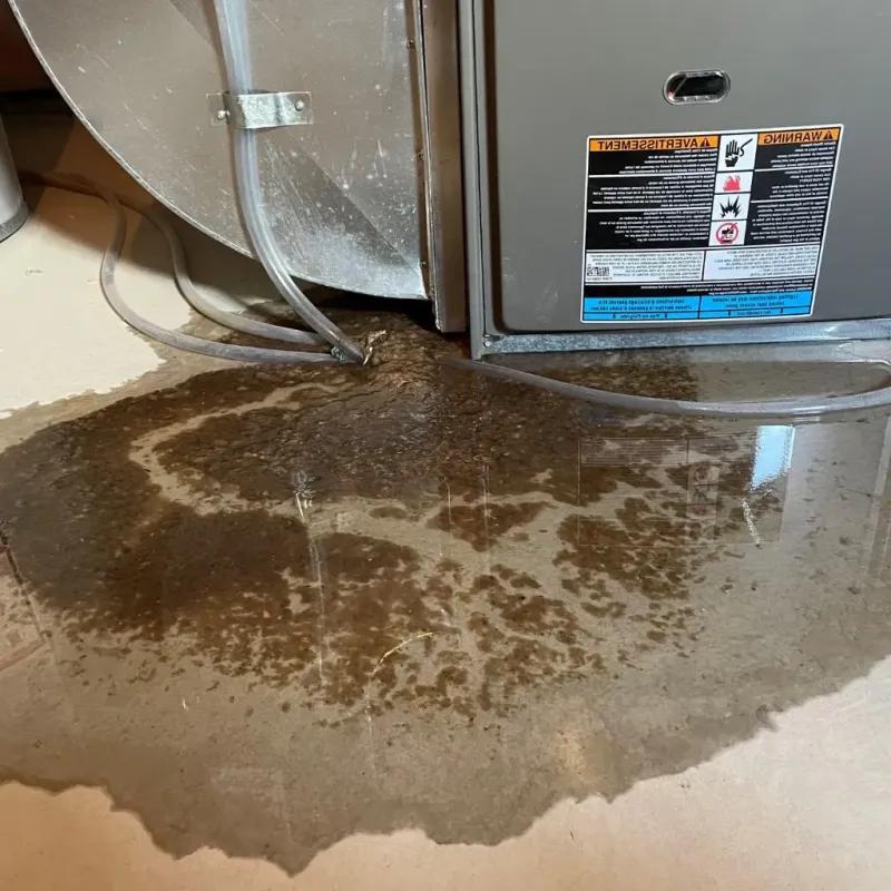 Pipe Burst and Leak Restoration in Mount Jackson, VA