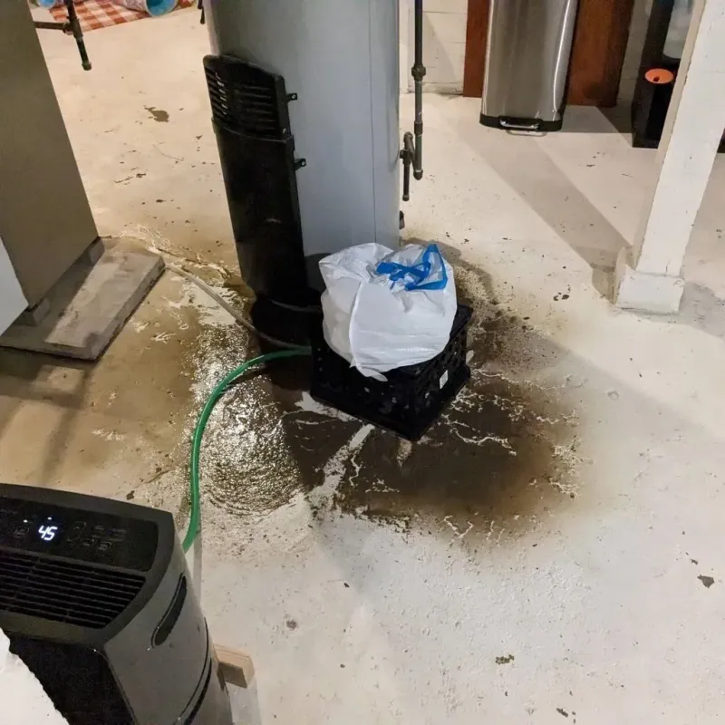 Sewage Backup Cleanup Service in Mount Jackson, VA